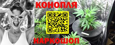 сатива Обнинск