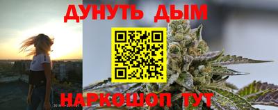 сатива Обнинск