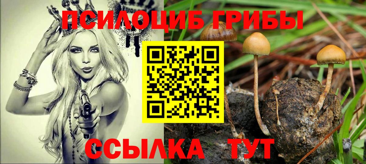 Томск  Галлюциногенные грибы Cubensis  Вход с VPN  Псилоцибиновые грибы MAGIC MUSHROOMS 